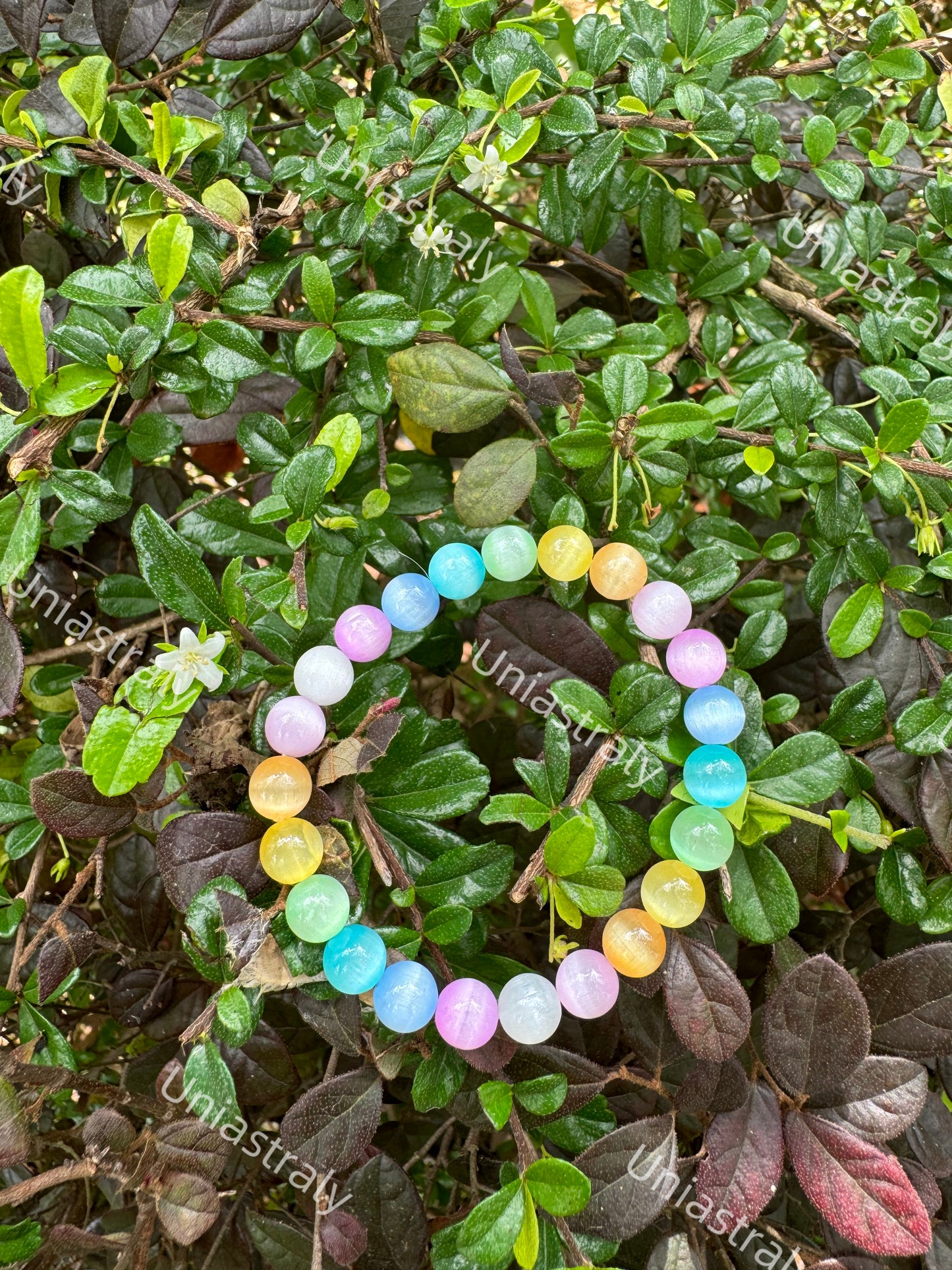 Rainbow Chakra Aligner Cat's Eye Bracelet`