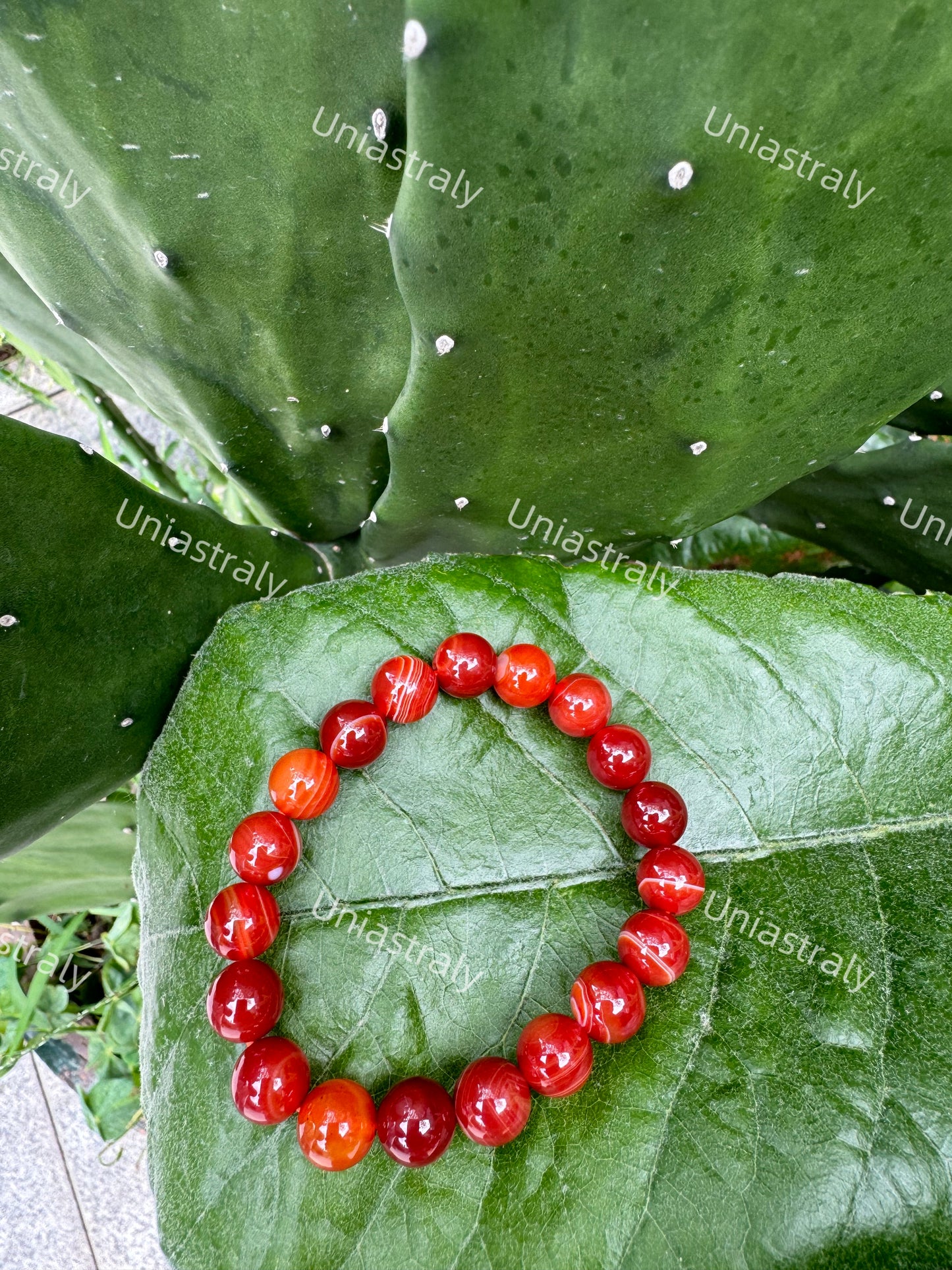 Grounding Protection Warrior Carnelian Bracelet