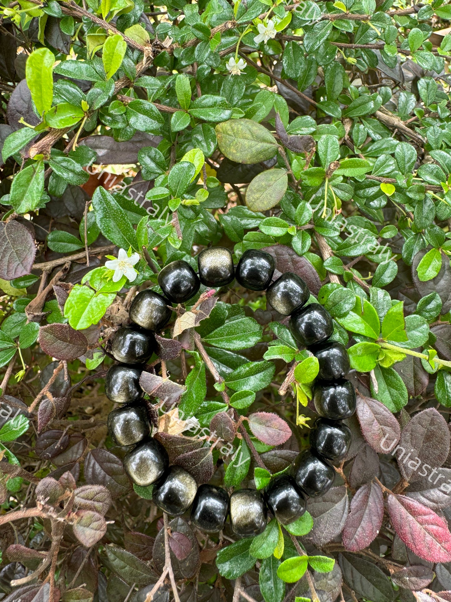 Psychic Shield & Abundance Gold Sheen Obsidian Bracelet