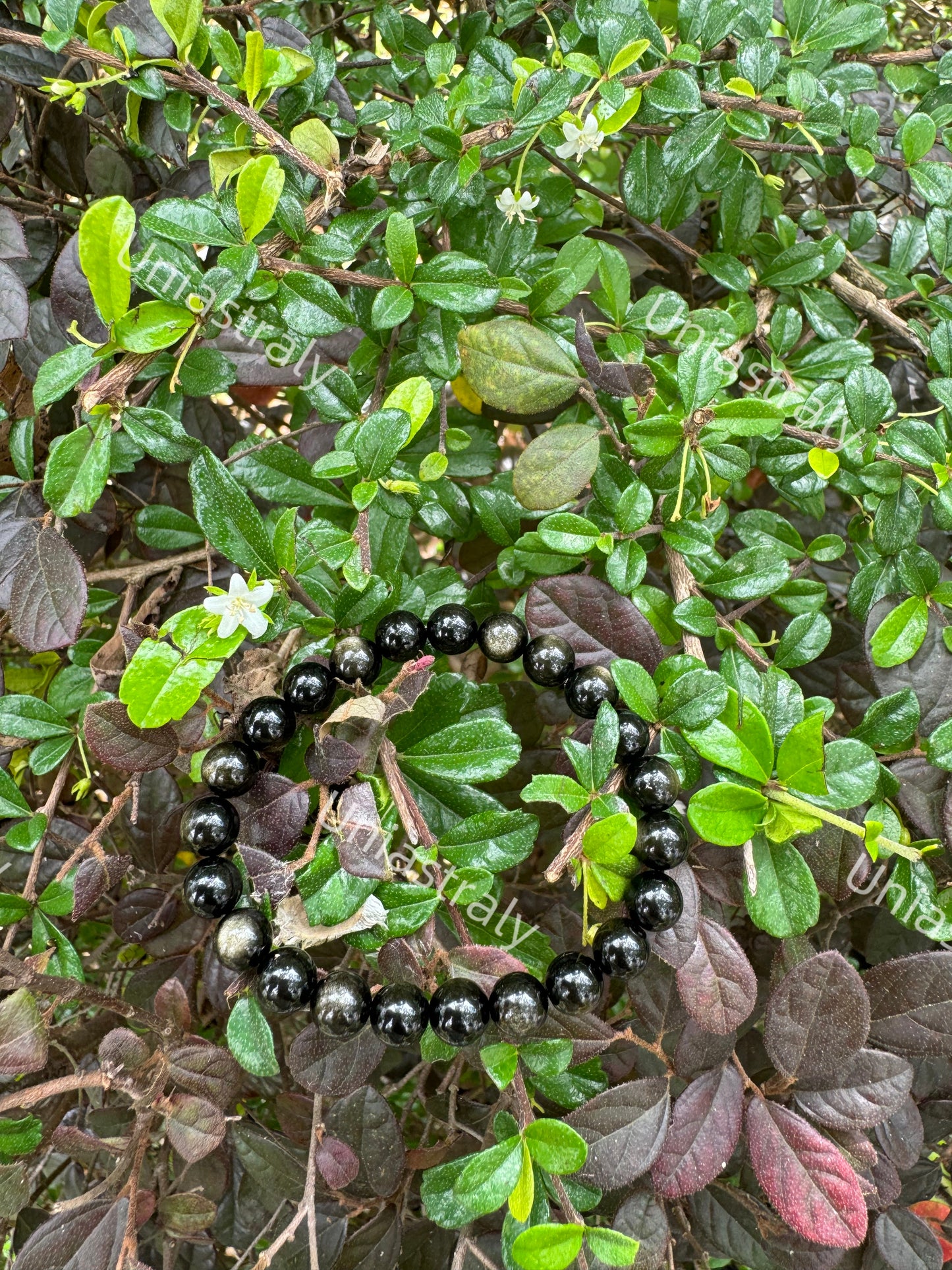Psychic Shield & Abundance Gold Sheen Obsidian Bracelet
